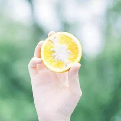 乐鱼app官网正式版下载app下载