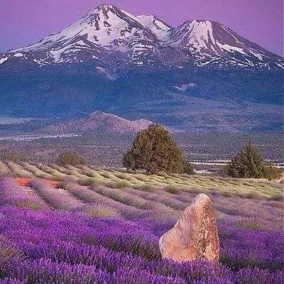 金沙8888js官方手机app下载